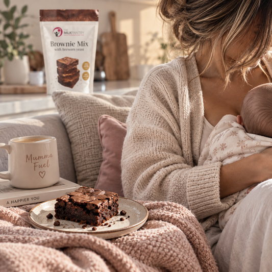 Brownie Mix 450g